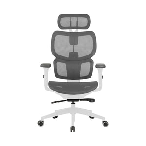 Zenox Shiho Ergonomic Office Chair (Grey) - Office Chair - Zenox - Zenox