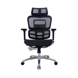 Zenox Ten - E Ergonomic Office Chair (Black) - Office Chair - Zenox - Zenox