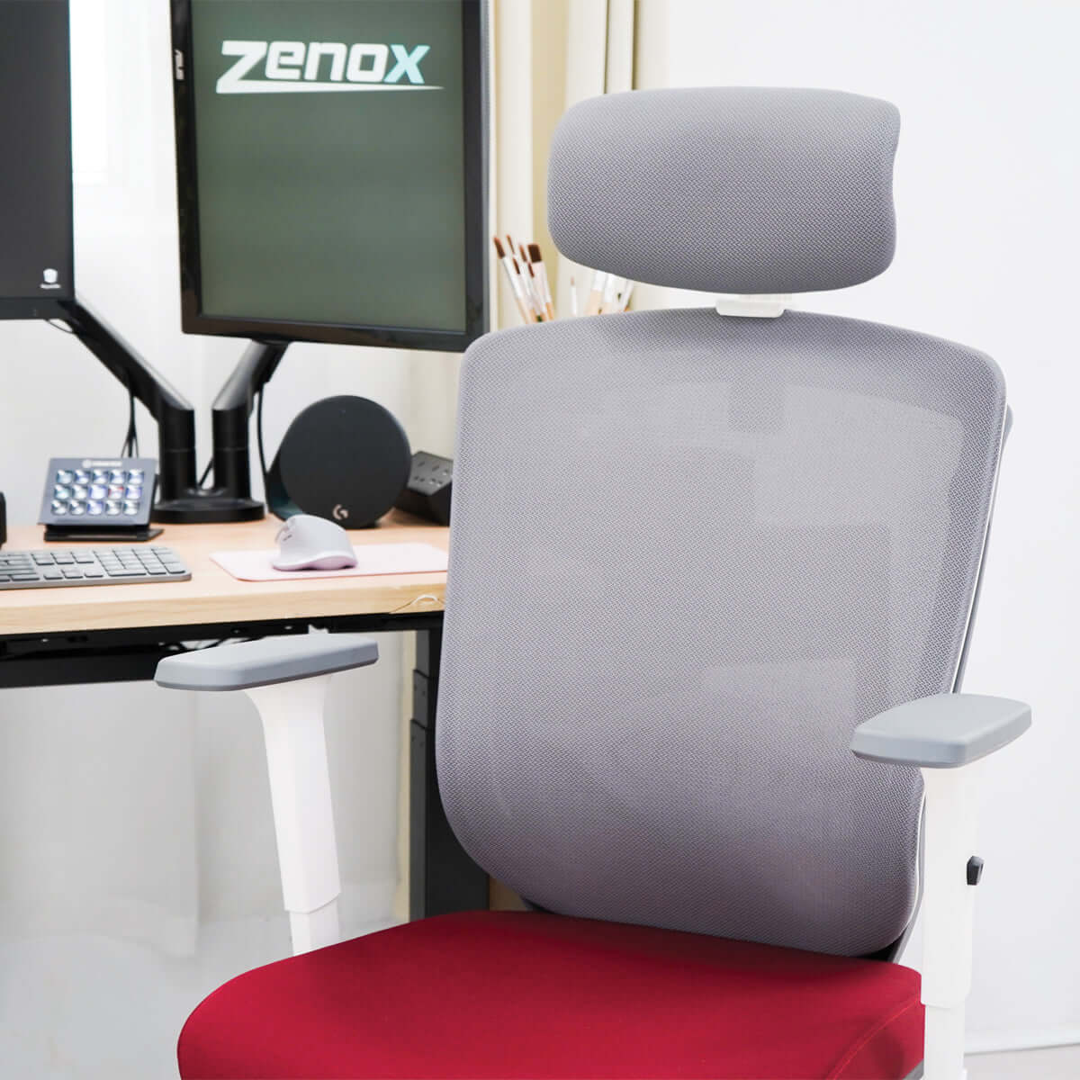Zenox Zagen Ergonomic Office Chair (Sky Blue) - Office Chair - Zenox - Zenox