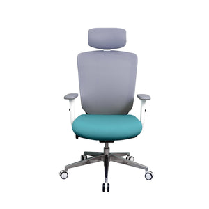 Zenox Zagen Ergonomic Office Chair (Sky Blue) - Office Chair - Zenox - Zenox