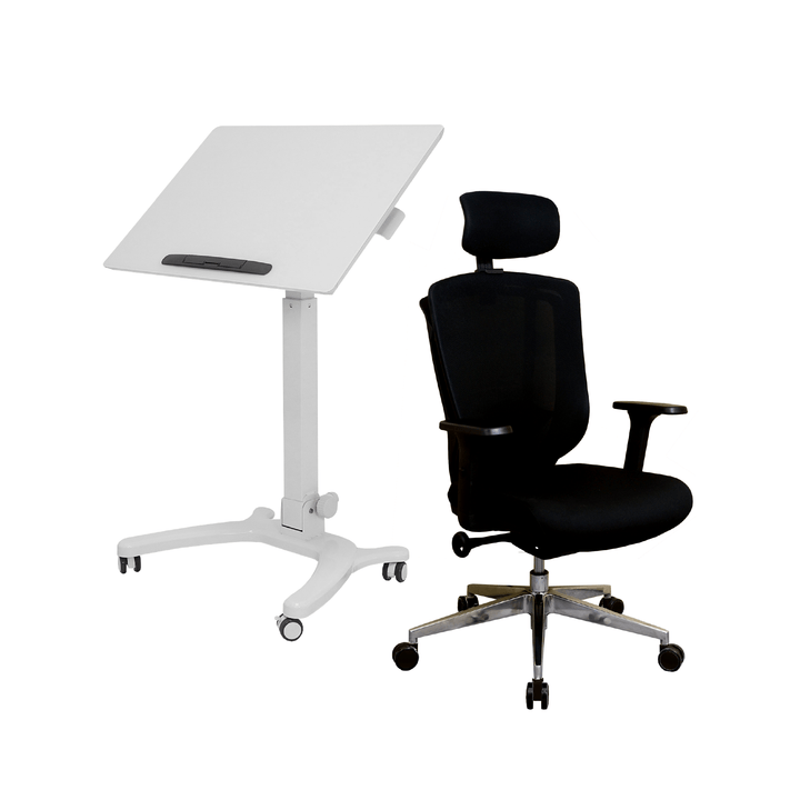 Zenox Zagen Office Chair +Zenox Rover Pro Mobile Standing Desk - Office Desk - Zenox - Zenox