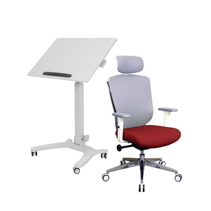 Zenox Zagen Office Chair +Zenox Rover Pro Mobile Standing Desk - Office Desk - Zenox - Zenox