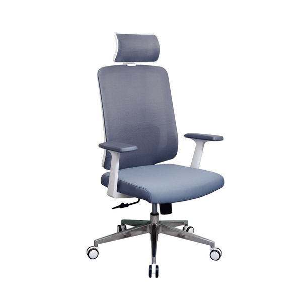 Zenox Joza Ergonomic Chair (Grey)